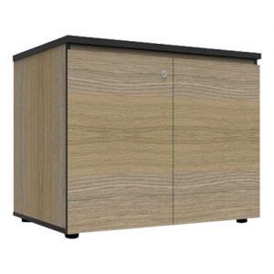 Deluxe Swing Door Buffet